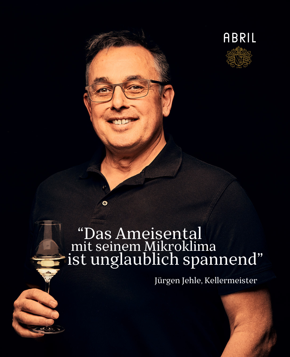 ZEIT Grauer Burgunder "AMEISENTAL"